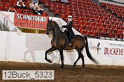 12buck_5323 proof
