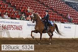 12buck_5324 proof