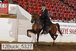 12buck_5327 proof