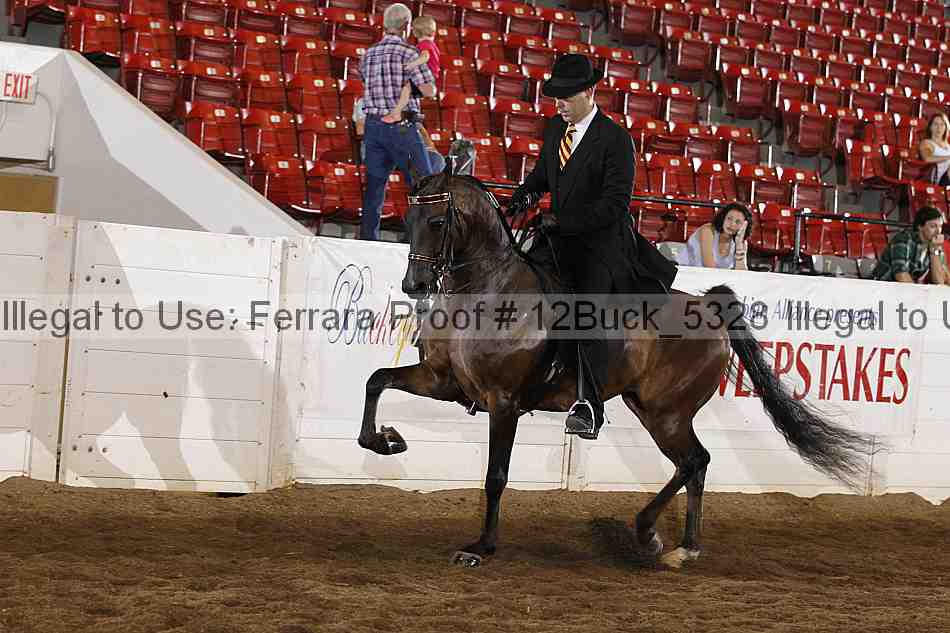 Proof 12buck_5328