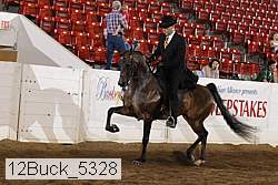 12buck_5328 proof