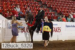 12buck_5329 proof