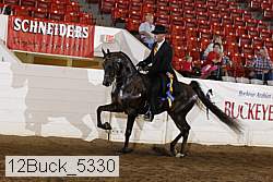 12buck_5330 proof
