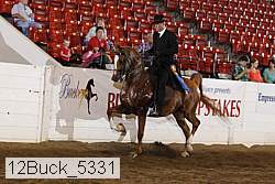 12buck_5331 proof