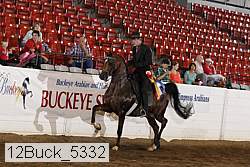 12buck_5332 proof