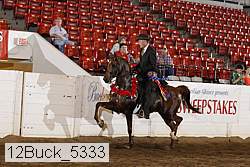 12buck_5333 proof
