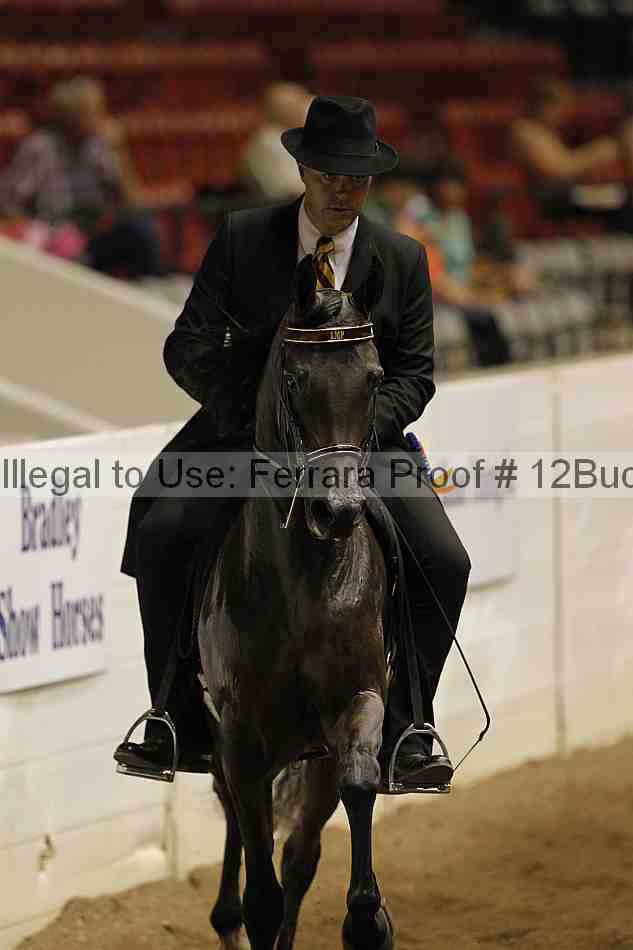Proof 12buck_5334