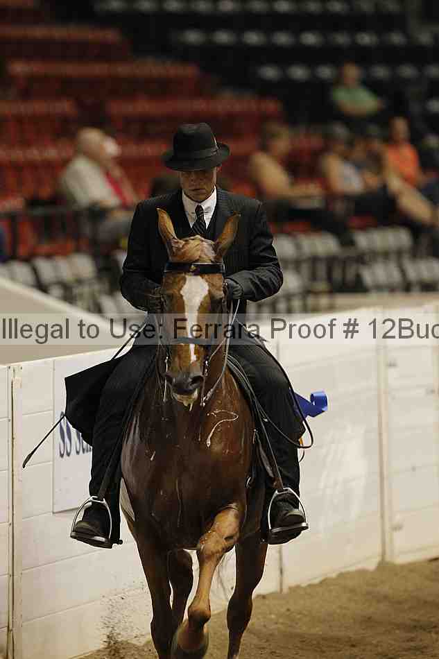 Proof 12buck_5336