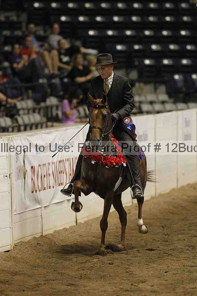 Proof 12buck_5339