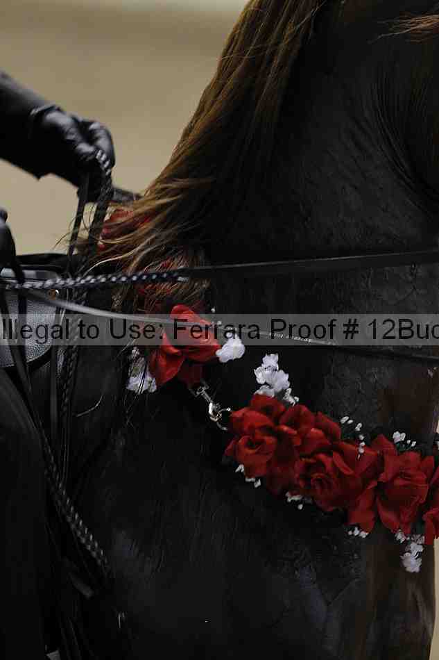 Proof 12buck_5343