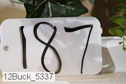 12buck_5337 proof