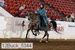 12buck_5344 proof