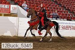 12buck_5345 proof