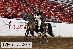 12buck_5347 proof