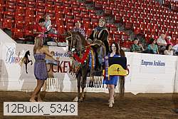12buck_5348 proof