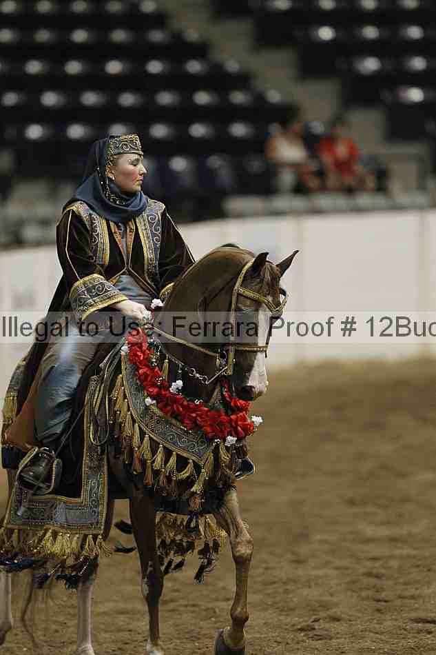 Proof 12buck_5352