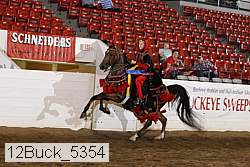 12buck_5354 proof