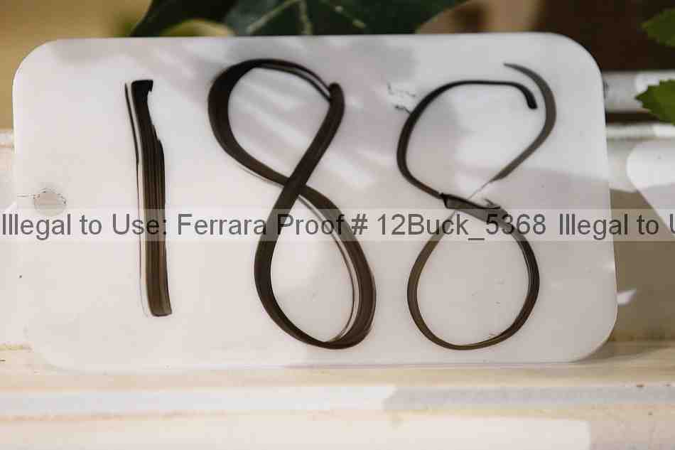 Proof 12buck_5368