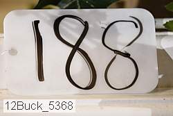 12buck_5368 proof