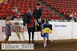 12buck_5370 proof