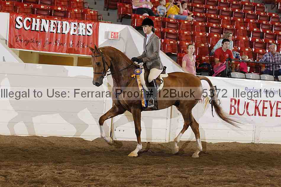 Proof 12buck_5372