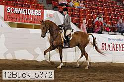 12buck_5372 proof