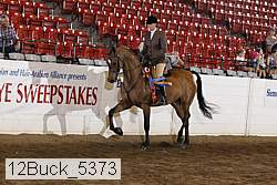 12buck_5373 proof
