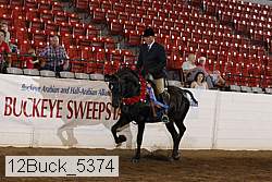 12buck_5374 proof