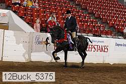 12buck_5375 proof