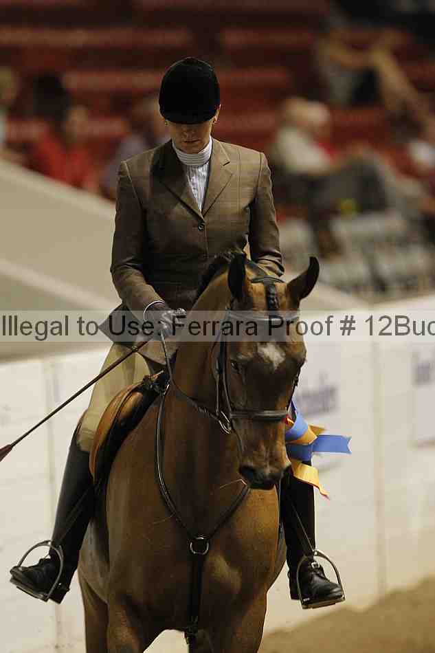 Proof 12buck_5379