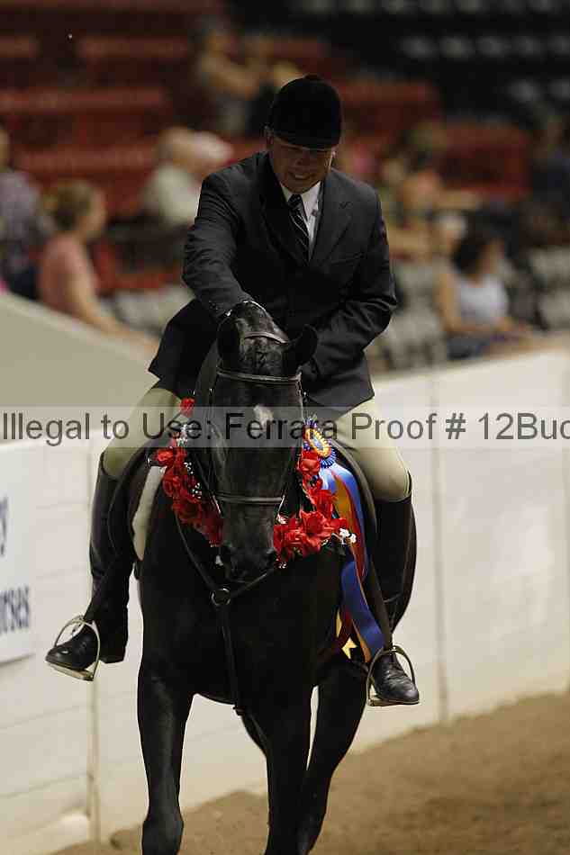 Proof 12buck_5381