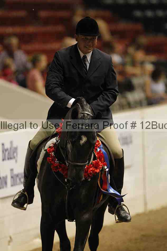 Proof 12buck_5382
