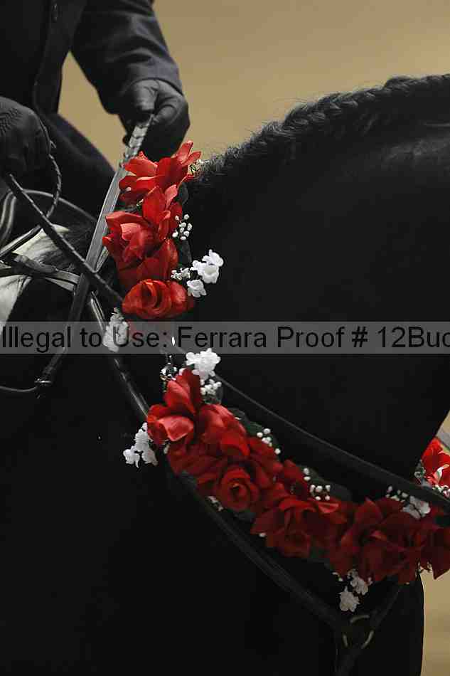 Proof 12buck_5383