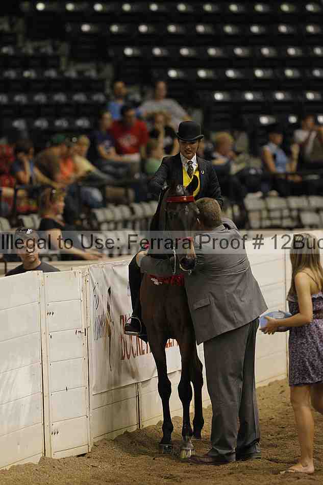 Proof 12buck_5384