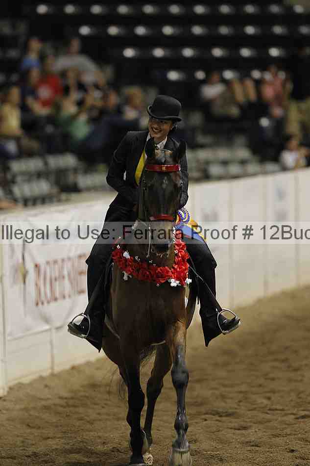 Proof 12buck_5385