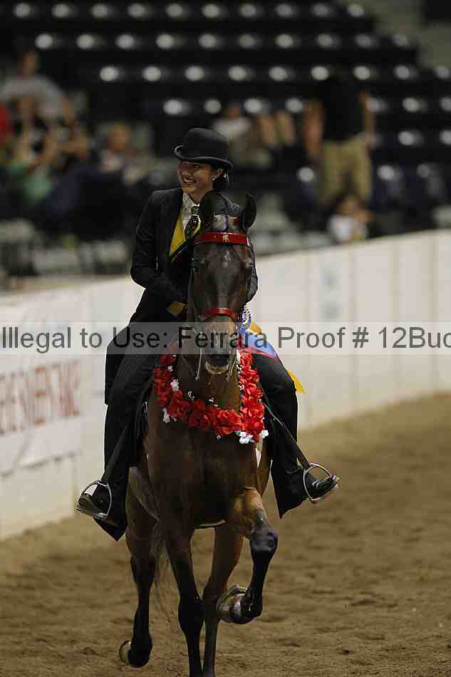 Proof 12buck_5386