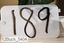 12buck_5404 proof