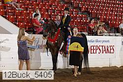 12buck_5405 proof
