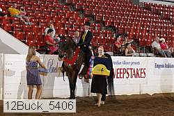 12buck_5406 proof