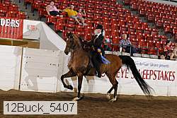 12buck_5407 proof