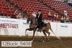 12buck_5409 proof
