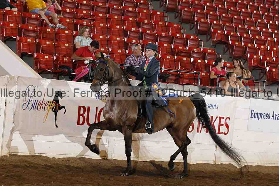 Proof 12buck_5410