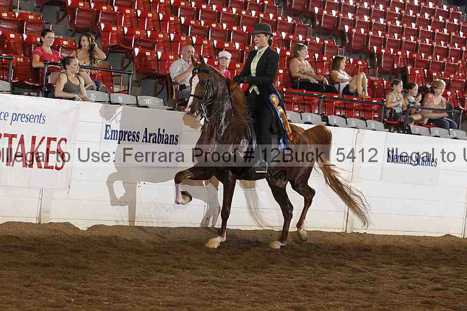 Proof 12buck_5412