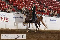 12buck_5412 proof