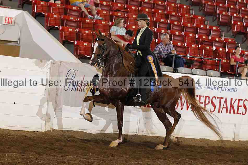 Proof 12buck_5414