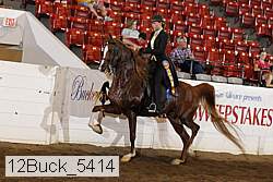 12buck_5414 proof