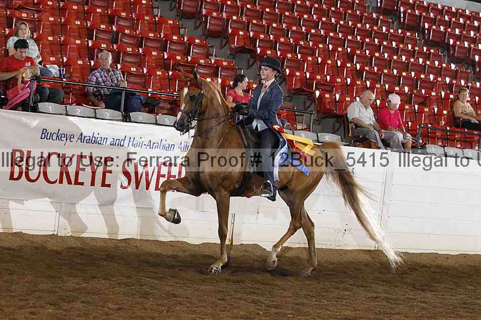 Proof 12buck_5415