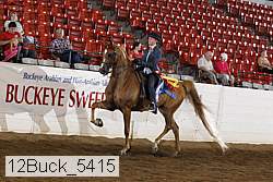 12buck_5415 proof
