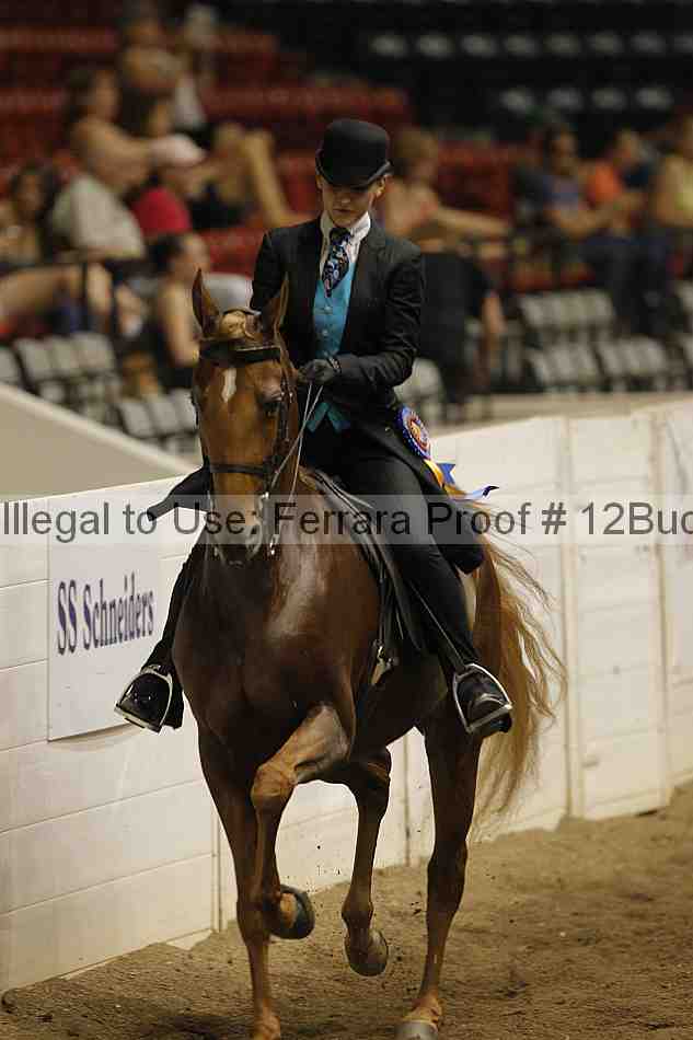 Proof 12buck_5417
