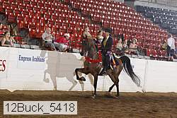 12buck_5418 proof